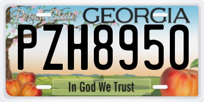 GA license plate PZH8950