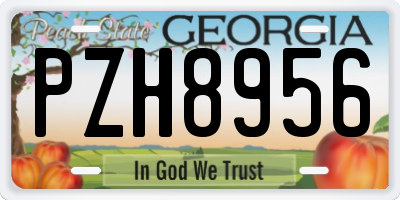GA license plate PZH8956