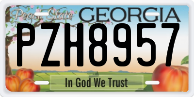 GA license plate PZH8957