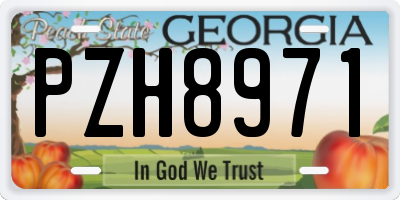 GA license plate PZH8971