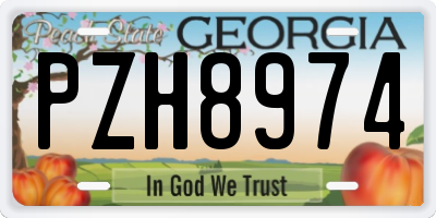 GA license plate PZH8974
