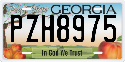 GA license plate PZH8975
