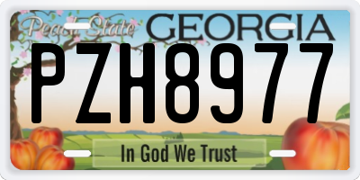 GA license plate PZH8977