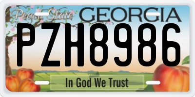 GA license plate PZH8986
