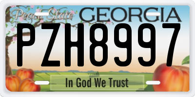 GA license plate PZH8997