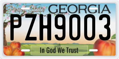 GA license plate PZH9003