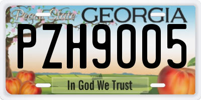 GA license plate PZH9005