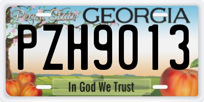 GA license plate PZH9013