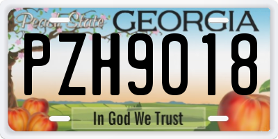 GA license plate PZH9018