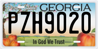 GA license plate PZH9020