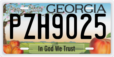 GA license plate PZH9025