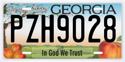 GA license plate PZH9028