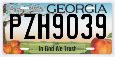 GA license plate PZH9039