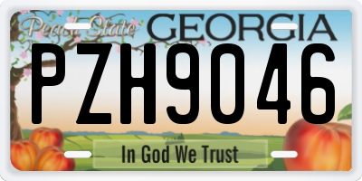 GA license plate PZH9046