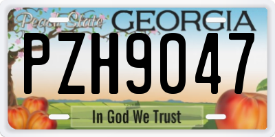 GA license plate PZH9047
