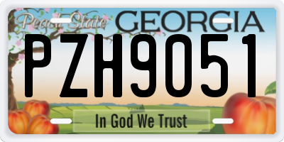 GA license plate PZH9051