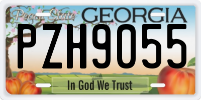 GA license plate PZH9055