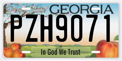GA license plate PZH9071