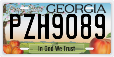 GA license plate PZH9089