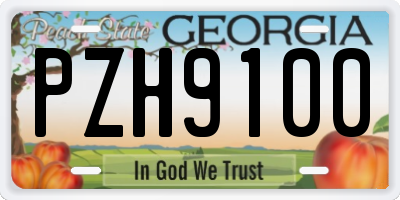 GA license plate PZH9100
