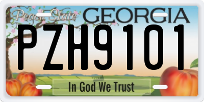 GA license plate PZH9101