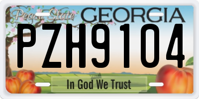 GA license plate PZH9104