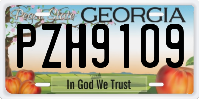 GA license plate PZH9109