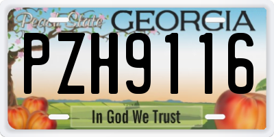 GA license plate PZH9116
