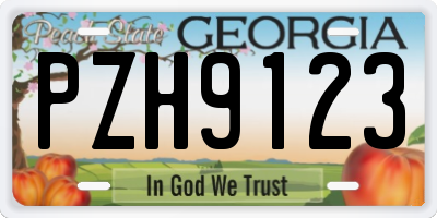 GA license plate PZH9123