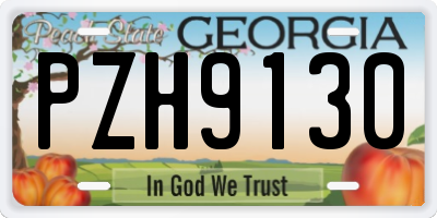 GA license plate PZH9130