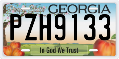 GA license plate PZH9133