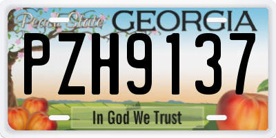 GA license plate PZH9137