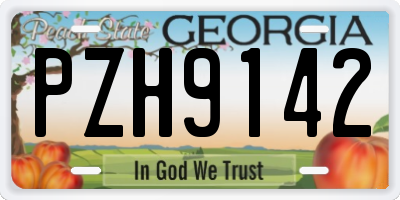 GA license plate PZH9142