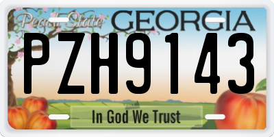 GA license plate PZH9143