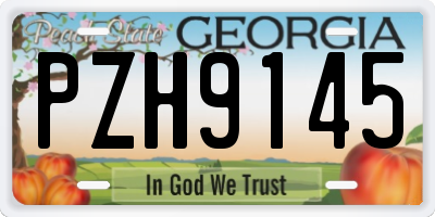 GA license plate PZH9145