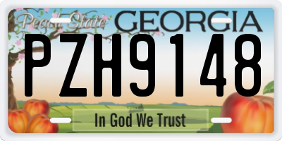 GA license plate PZH9148