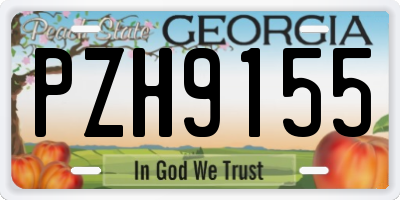 GA license plate PZH9155