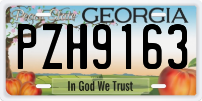 GA license plate PZH9163
