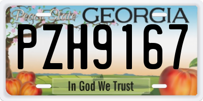GA license plate PZH9167