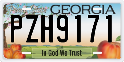 GA license plate PZH9171