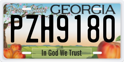 GA license plate PZH9180