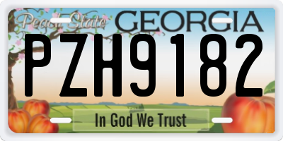 GA license plate PZH9182