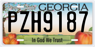 GA license plate PZH9187