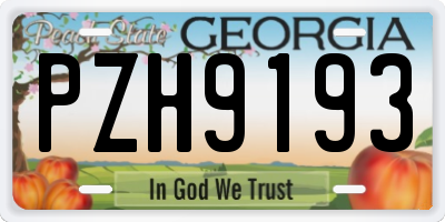GA license plate PZH9193