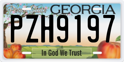 GA license plate PZH9197