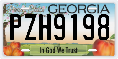 GA license plate PZH9198