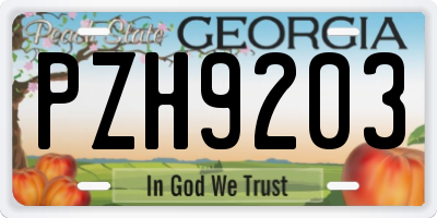 GA license plate PZH9203
