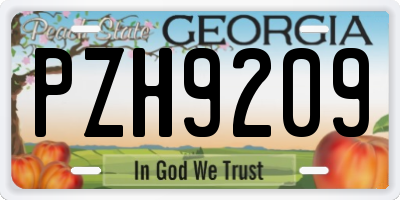 GA license plate PZH9209