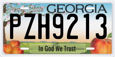 GA license plate PZH9213