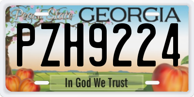 GA license plate PZH9224